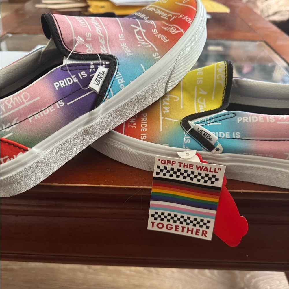Vans Multicolor Pride Slip-On Shoes